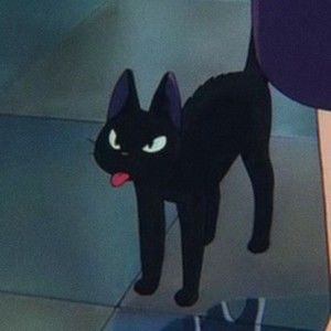 Meet your Posher, Yuvika